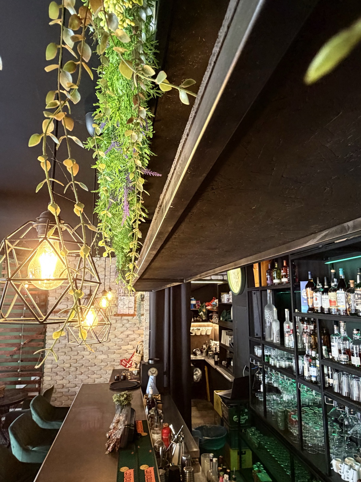 Hanging greenery and caged pendant lights above the bar